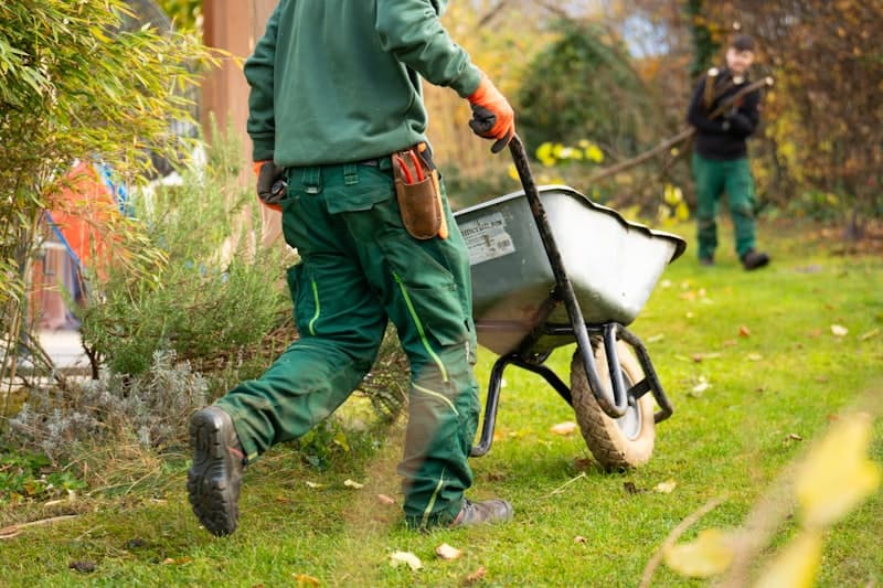 Stump Grinding projects in the Owensboro area
